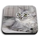 Square Mdf Magnets - Cat Glasses Kitten Animals  #8525