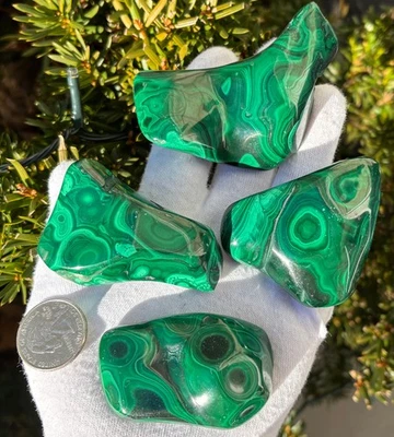 VENTA EE. UU. LOTE DE 402g malaquita pulida xl piedra de palma tamaño palma Foto 1 de 4