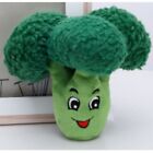 Durable Broccoli Dog Toy Plush Dog Toys Squeaky Crinkle Toys