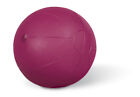 Paffen Sport Fit Medizinball 5kg. Pink. nachpumpbar. abriebfest. springend.Boxen