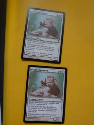 Woolly Razorback x2 Coldsnap. Rare. Magic the Gathering Card. 1 slight ink error - Image 1 of 4