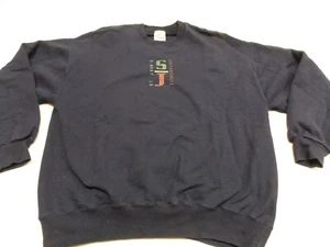 Sudadera De Colección Años 90 Jerzees XL Súper Sudaderas Mamá St. Johns Collegeville Hecha en EE. UU. - Imagen 1 de 6