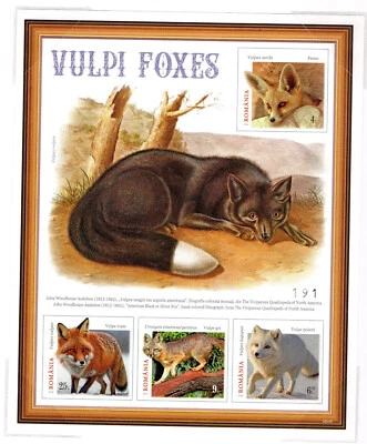 RUMANIA 2025 Zorros, Animales, Animales, Fauna, Carpeta Filatélica, s/s Especial, MNH Foto 1 de 2