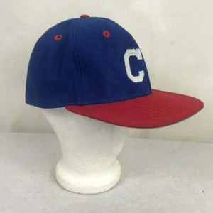 VINTAGE New Era Chicago CUBS Hat dupont Pro Model Snapback vintage Trucker - Picture 1 of 8