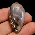 100% Natural Snail Shell Druzy Cabochon Loose Gemstone 36X19X12 MM 52.50 Cts.