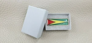 Pin de solapa esmaltada bandera de Guyana - Imagen 1 de 2