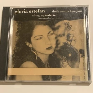 Gloria Estefan Don’t Wanna Lose You Promo - Picture 1 of 6
