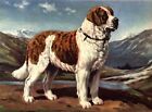 Saint Bernard - CUSTOM MATTED - Dog Art Print - Megargee 