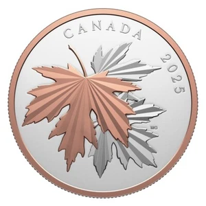 Moneda de plata Canadá Gleaming Maple Leaves 2025 PP de 10 oz - Imagen 1 de 4