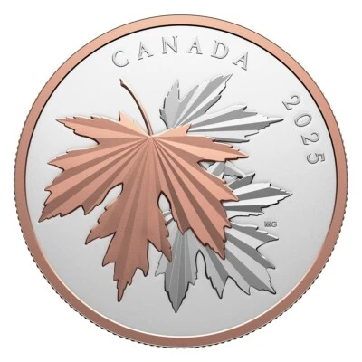 10 oz Kanada Silbermünze Gleaming Maple Leaves 2025 PP - Bild 1 von 4