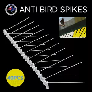 40pcs ANTI BIRD SPIKES 20M Stainless Steel Polycarbonate Base Pigeon Deterrent - Picture 1 of 11