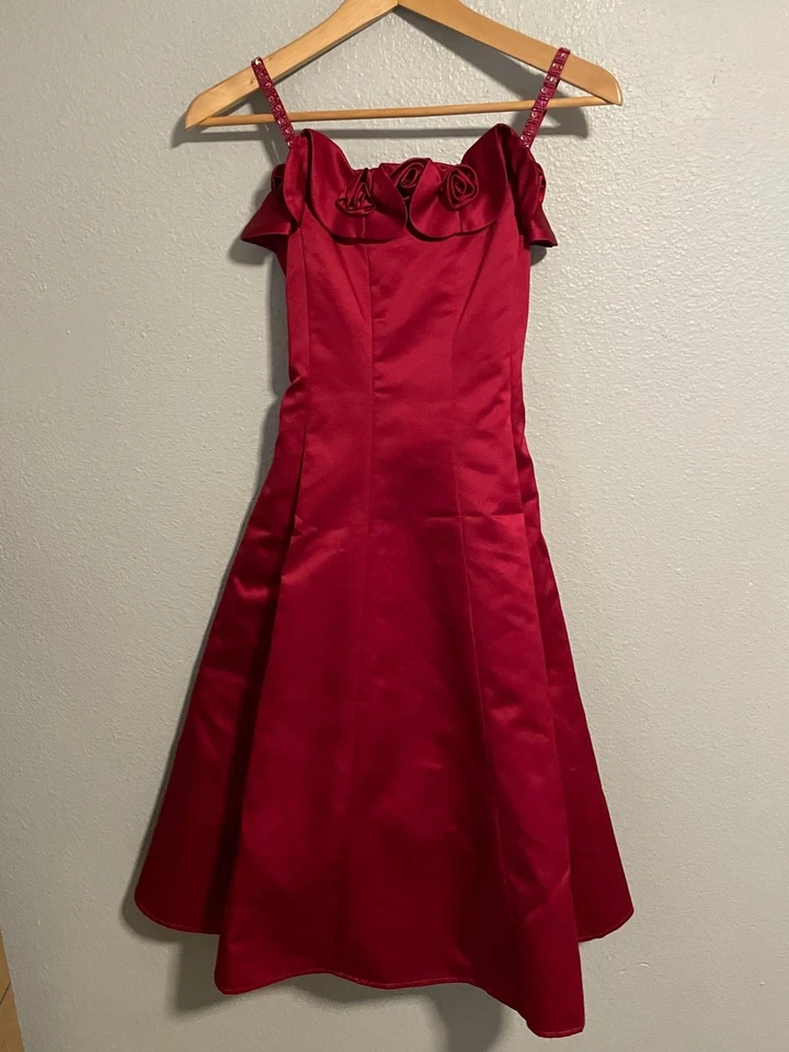 Biscotti Dress Girls 14 Red Satin Rosette Party Holiday Fit Flare Formal Y2K - Image 1 of 4