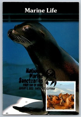 #5713m National Marine Sanctuaries Seal Lions FDC Maxi Card w/Pictorial Cancel - Image 1 of 2