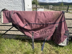 Premier Equine Turnout 6’9 0g - Picture 1 of 4