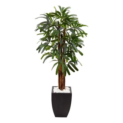 Palmera artificial Raphis casi natural 66" en maceta negra en verde/negro Foto 1 de 4