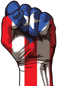 PUERTO RICO FLAG, PR STICKER-DECAL-BANDERA BORICUA-PROTEST FIST-PUÑO PROTESTA - Picture 1 of 1