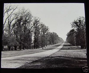 GWW Glass Magic Lantern Slide WINDSOR CASTLE - THE LONG WALK C1890  - Picture 1 of 2