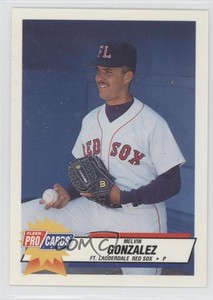 1993 Fleer ProCards Minor League Melvin Gonzalez #1589