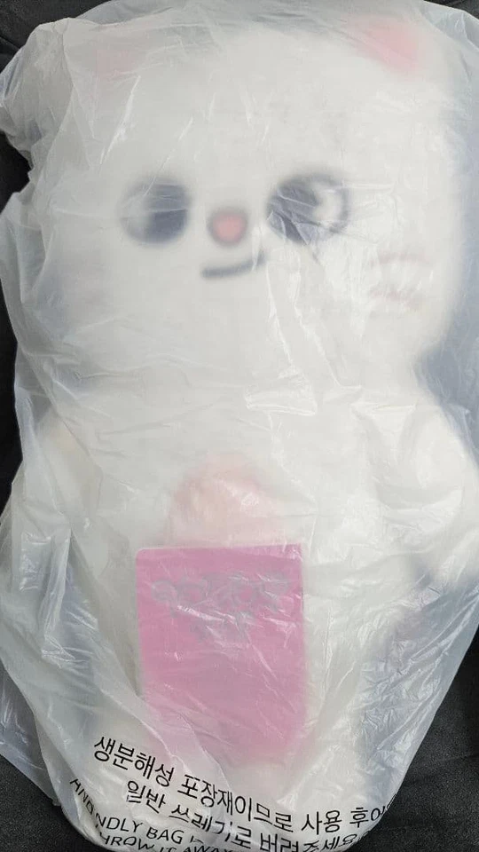 Stray Kids Skzoo Jiniret Hyunjin Teddy Ver. BIG Plush Doll 60cm SKZ 5o'clock JP - Photo 1/4