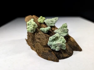 Wavellite "Moos auf einem Baumstamm", Montgomery County, Arkansas, mit Sockel, OOAK 6er Set - Bild 1 von 20