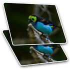 2 x rechteckige Aufkleber 7,5 cm - Paradise Tanager tropisch blau Vogel cooles Geschenk #1