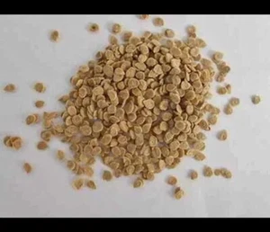 Tomato 150 Seeds free shipping world wide. - Picture 1 of 5