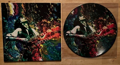 33 LP PICTURE DISC LED ZEPPELIN KASHMIR MEXICO FAN CLUB - Image 1 of 2