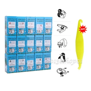 15 Sizes Dental Ortho Rubber Bands Elastics Latex Braces 3.5 /5.0 /6.5 OZ+ Tools - Picture 1 of 28