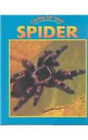 Caring for Your Spider Library Binding Michelle Lomberg