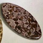 Wildly Exotic 2 Tiger Jasper Marquis Pendant 40x20x5mm Beads 6705