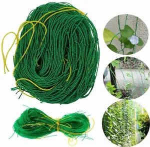 Plant Support Mesh Garden Net Vegetable Fruit Climbing Netting Pea Bean Trellis+ - Picture 1 of 17