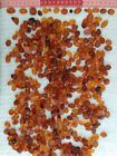 Over 500 Amber Cabochon Cut Pieces Ready for necklace or ring Jewellery Making