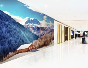 3D Winter Mountain 8590 Wallpaper Mural Wall Print Wall Wallpaper Murals US Coco - Picture 1 of 11