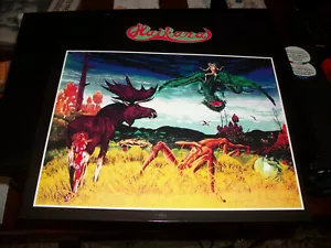 Haikara – Haikara - LP mit Einsatz - 2010 - Mayfair Music - Bild 1 von 3