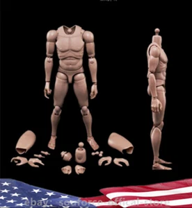 1/6 Scale Male Body Model Toy Europe Skin MX02-A Standard Muscle Flexible - Picture 1 of 8