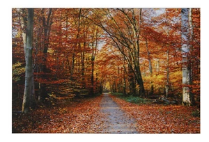 Beautiful Orange Forest  Sparkle Sticker Poster Without Frame (24 X 48 Inch) - Picture 1 of 2