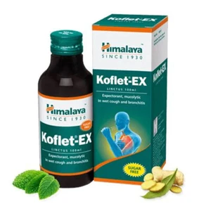 Herbal Koflet-EX LINCTUS Ayurvedic Vasaka Sunthi 100 ml Free Shipping - Picture 1 of 2