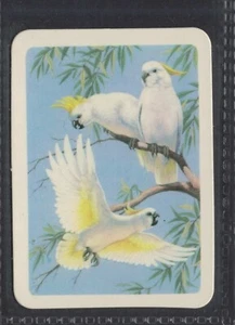 WHITE COCKATOO - 50 + year old Aus Trade Card # 39 - Picture 1 of 2