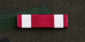 VERDIENSTMEDAILLE BANDSTAB - Bild 1 von 1