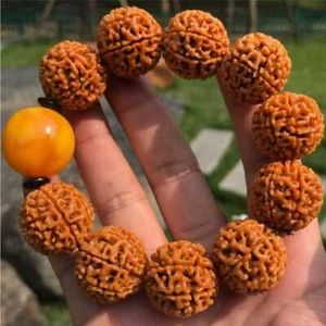 25MM Natural Rudraksha Turquoise Beads Cuff Lucky Bracelet Chain Men - Picture 1 of 3