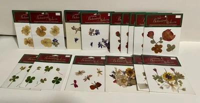 15 pegatinas botánicas variedad Darice - FLORES REALES prensadas/secas Foto 1 de 4