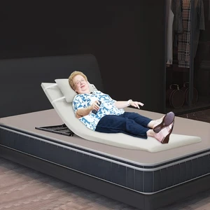 Schienale Letto Sollevabile Elettrico Regolabile 330LBS 600W per Anziani Donna Incinta - Foto 1 di 21