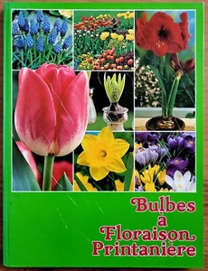 BULBES à FLORAISON PRINTANIÈRE illustration Narcisse tulipe lis jacinthe crocu.. - Picture 1 of 9