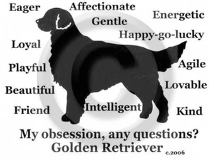 Golden Retriever Dog My Obsession, Any Questions? T-shirt Choices - Picture 1 of 9