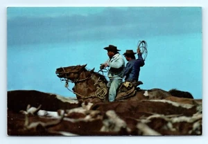 Vintage HI Postcard Hawaiian Cowboys Parker Ranch Center Kamuela Hawaii Unposted - Picture 1 of 2