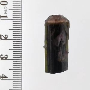 Tourmaline bicolor pink green crystal Elbaite mineral specimen StakNala 30.3ct - Picture 1 of 7
