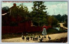 Mother Goose, Canadian Rural Life, 1910 Valentine Postcard, Broken Circle Cancel