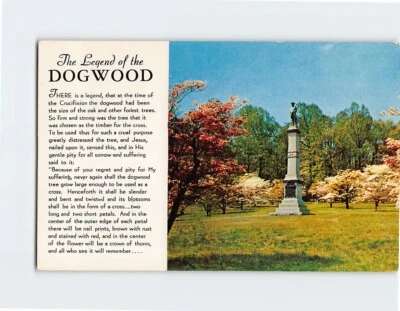 Postcard Legend of the Dogwood NJ Monument Valley Forge Pennsylvania USA - Image 1 of 2
