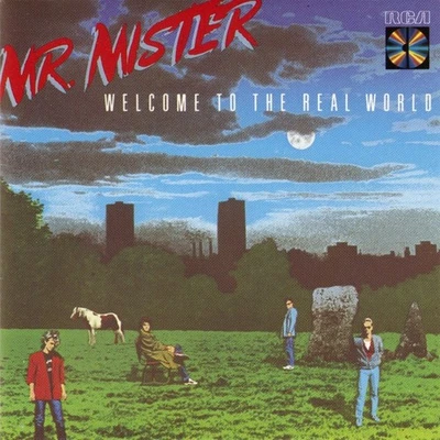MR. MISTER - WELCOME TO THE REAL WORLD - CD ALBUM - RCA / ARIOLA - 1985 - Bild 1 von 3