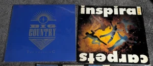 Inspiral Carpets, Life,Embossed, + Big Country, The Crossing, German Pressing - Picture 1 of 11